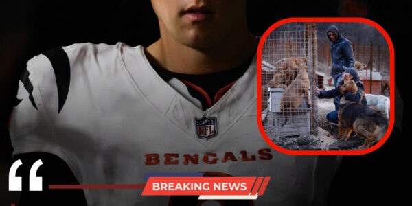 HEARTWARMING: Bengals Superstar Joe Burrow Saves 19 Dogs From Euthanasia in Emotional Labor Day Weekend Rescue