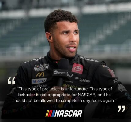 Dode dwergvinvis aangespoeld in Nederland: “Ongeveer dezelfde grootte als dier dat strandde in Heist”