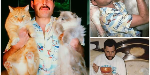 Freddie Mercury and His Feline Family: The Rock Legend’s Heartfelt Love for Cats