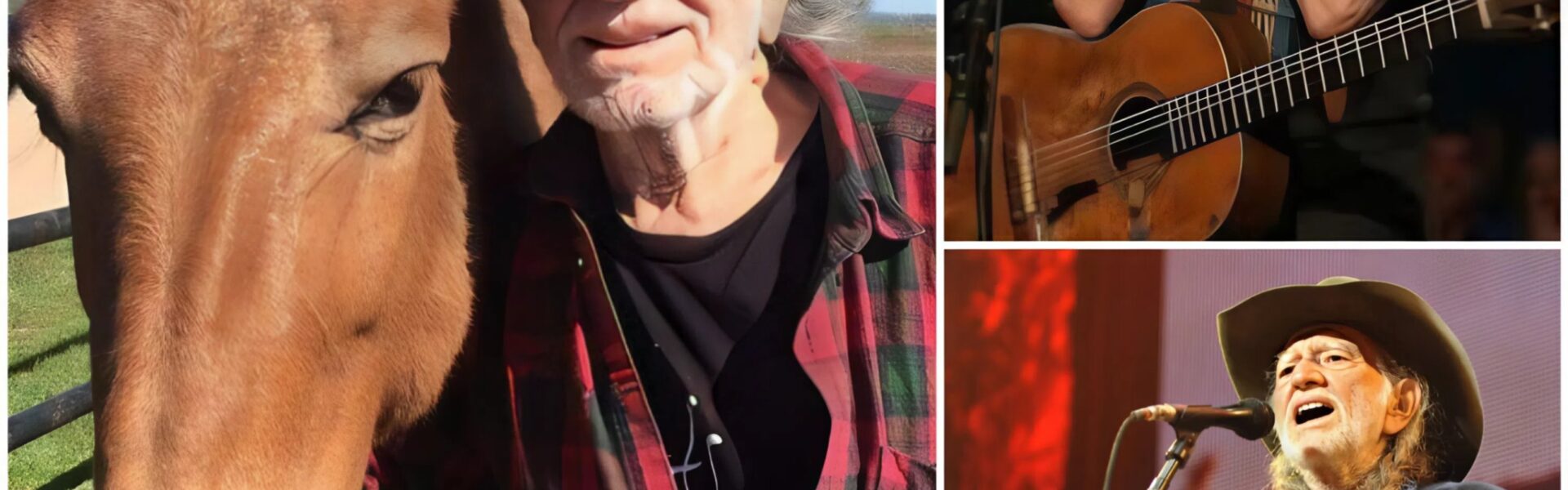 Willie Nelson Suddenly Shares Heartbreaking News, Revealing an Unexpected Loss That Leaves Him Devastated