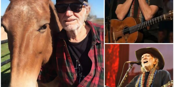 Willie Nelson Suddenly Shares Heartbreaking News, Revealing an Unexpected Loss That Leaves Him Devastated