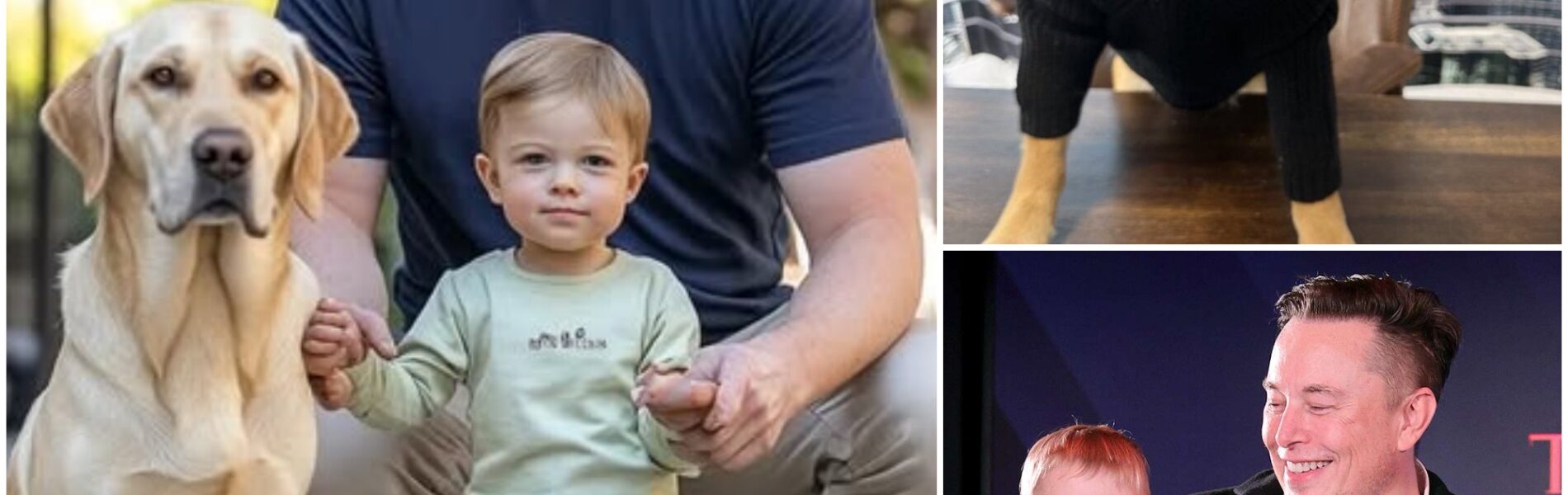 An irresistible moment is sweeping the internet! Elon Musk’s son, Lil X, steals hearts in a viral clip, flashing his adorable smile and sharing pure joy with a special guest. Don’t miss the unforgettable ending that has everyone talking—this tiny superstar’s charm is impossible to resist