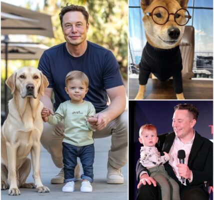 An irresistible moment is sweeping the internet! Elon Musk’s son, Lil X, steals hearts in a viral clip, flashing his adorable smile and sharing pure joy with a special guest. Don’t miss the unforgettable ending that has everyone talking—this tiny superstar’s charm is impossible to resist