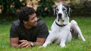 NY GIANTS STAR RUSSELL WILSON SHOCKS NFL WORLD WITH $5 MILLION TO BUILD ANIMAL RESCUE IN NY CITY SUBURB