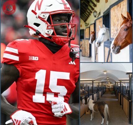 BREAKING NEWS: Nebraska star Malachi Coleman shocks fans with a stunning $6 million project — unveiling Prairie Freedom Ranch, a 150-acre sanctuary rescuing abused horses, offering rehab, 24/7 veterinary care, and inspiring athletes nationwide to act.