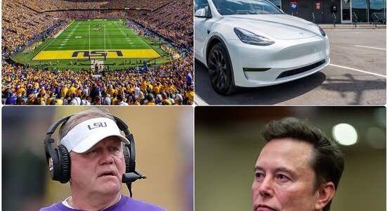 The LSU Tigers Reject Tesla Advertisement by Elon Musk at Tiger Stadium! The Tigers Give Elon Musk a Very Valid Reason for the Rejection..