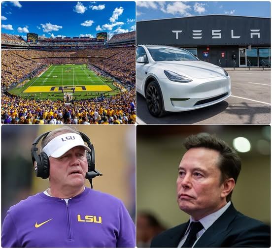 The LSU Tigers Reject Tesla Advertisement by Elon Musk at Tiger Stadium! The Tigers Give Elon Musk a Very Valid Reason for the Rejection..