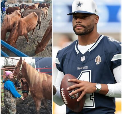 Dak Prescott Unveils “Freedom Ranch” — A $6M Sanctuary That Proves His Impact Extends Far Beyond Football