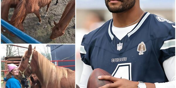 Dak Prescott Unveils “Freedom Ranch” — A $6M Sanctuary That Proves His Impact Extends Far Beyond Football