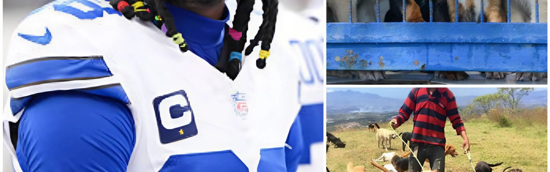 CeeDee Lamb Scores His Biggest Win Yet: $5 Million Sanctuary for Stray Dogs Opens in Texas