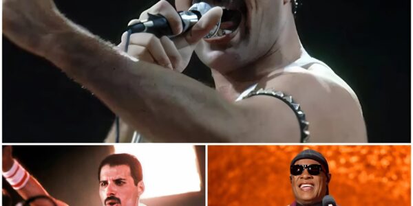 When Freddie Mercury Looked Up: Stevie Wonder, the Balladeer Who Redefined Honesty in Music