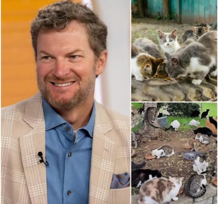 NASCAR legend Dale Earnhardt Jr. has captured hearts beyond the racetrack with the launch of “Victory Lane Haven,” a $5 million sanctuary for abandoned animals in North Carolina. “Too many animals are left without care or hope. They deserve safety, healing, and love,” Earnhardt Jr. said. The facility offers 24/7 veterinary care, safe housing, and enrichment programs, proving that true victories aren’t just on the track—they’re in giving the vulnerable a chance at life.