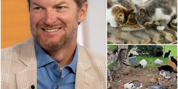 NASCAR legend Dale Earnhardt Jr. has captured hearts beyond the racetrack with the launch of “Victory Lane Haven,” a $5 million sanctuary for abandoned animals in North Carolina. “Too many animals are left without care or hope. They deserve safety, healing, and love,” Earnhardt Jr. said. The facility offers 24/7 veterinary care, safe housing, and enrichment programs, proving that true victories aren’t just on the track—they’re in giving the vulnerable a chance at life.