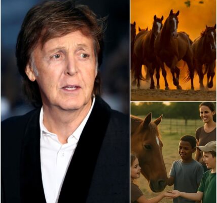 Paul McCartney has captured hearts worldwide by launching “Harmony Stables,” a $7.5 million, 175-acre sanctuary rescuing neglected horses while teaching children compassion, responsibility, and resilience. Fans praise the Beatle not just as a music legend, but as a visionary whose love for animals and community echoes far beyond the stage.