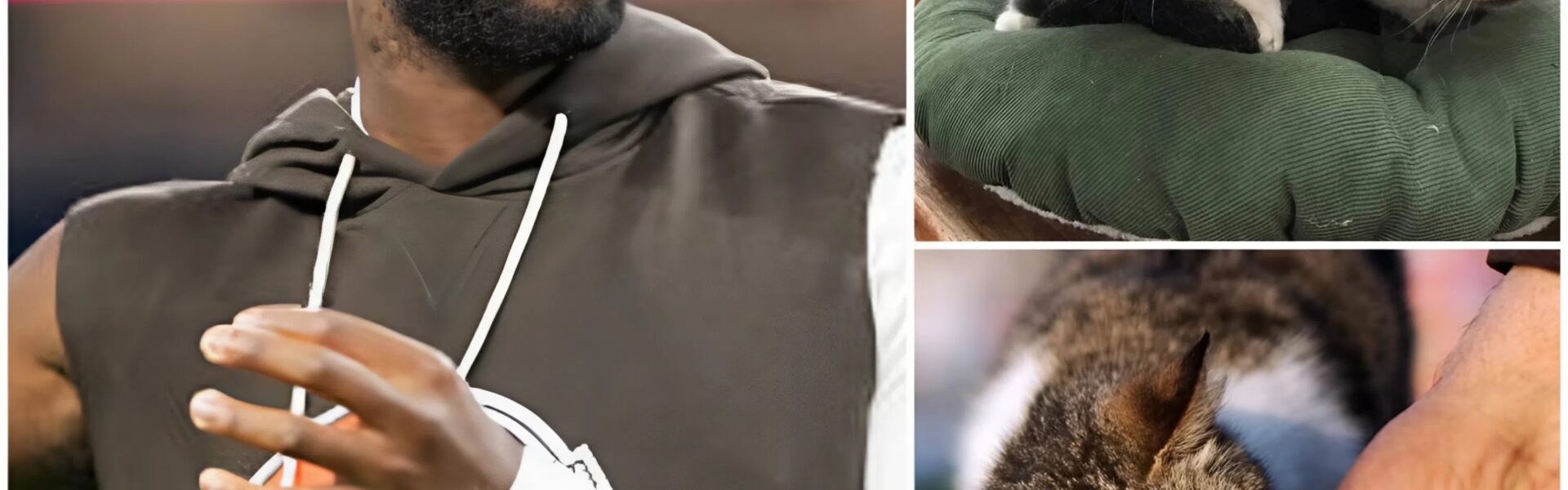 Shedeur Sanders Balances Heroics for Animals and Heartbreak on the Field at FirstEnergy Stadium