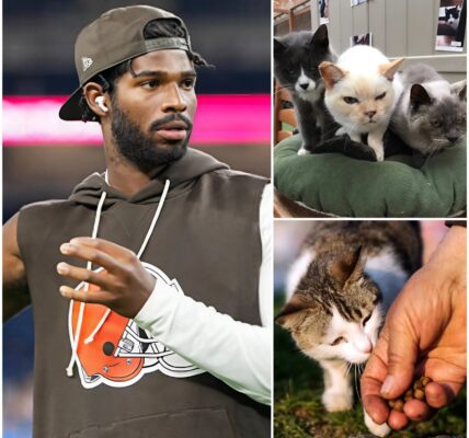 Shedeur Sanders Balances Heroics for Animals and Heartbreak on the Field at FirstEnergy Stadium