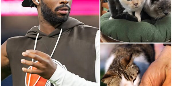 Shedeur Sanders Balances Heroics for Animals and Heartbreak on the Field at FirstEnergy Stadium