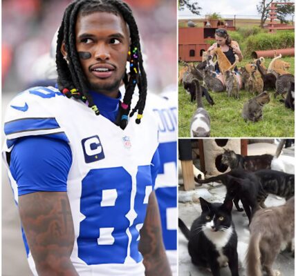 Ceedee Lamb Stuns NFL Fans: From AT&T Showdown Meltdown to Hero Off the Field