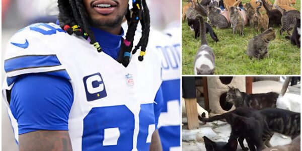 Ceedee Lamb Stuns NFL Fans: From AT&T Showdown Meltdown to Hero Off the Field