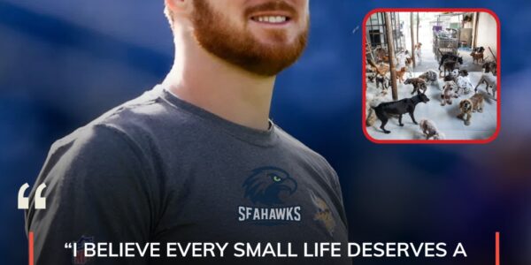 Seattle Seahawks star Sam Darnold returned to his hometown with a gesture no one saw coming 💚💙: he invested a significant part of his NFL success into building a sanctuary for abandoned animals — a haven not only for healing and sheltering these fragile lives, but also a place where children can come, learn compassion, and discover the beauty of giving.