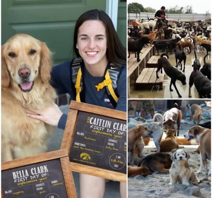 Caitlin Clark Scores Her Biggest Win Off the Court: $5 Million Sanctuary for Stray Dogs Opens in Indiana