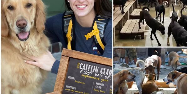Caitlin Clark Scores Her Biggest Win Off the Court: $5 Million Sanctuary for Stray Dogs Opens in Indiana