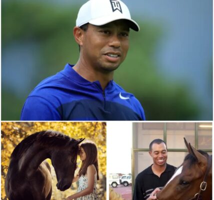 Tiger Woods, golf star has launched Freedom Ranch — a 150-acre sanctuary in California worth over $6 million, dedicated to rescuing abandoned and abused horses. “This is more than a shelter,” Woods said. “We offer rehab, retraining, 24/7 veterinary care, and a place for kids to connect with these horses. Most importantly, we give them a second chance at life.” Freedom Ranch aims to become a national model and inspire other athletes to take action for animal welfare…