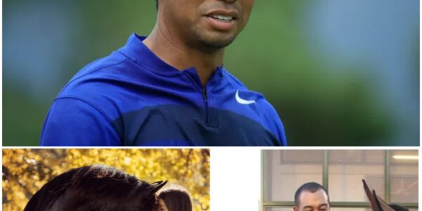 Tiger Woods, golf star has launched Freedom Ranch — a 150-acre sanctuary in California worth over $6 million, dedicated to rescuing abandoned and abused horses. “This is more than a shelter,” Woods said. “We offer rehab, retraining, 24/7 veterinary care, and a place for kids to connect with these horses. Most importantly, we give them a second chance at life.” Freedom Ranch aims to become a national model and inspire other athletes to take action for animal welfare…