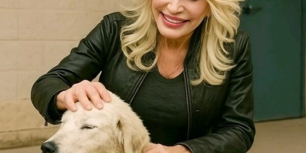 Dolly Parton quietly walked into a Tennessee shelter with just 48 hours left before closure. Among the forgotten was Buddy, an 11-year-old lab mix. She knelt, whispered, and then vowed: “All 39 of you deserve a tomorrow.”