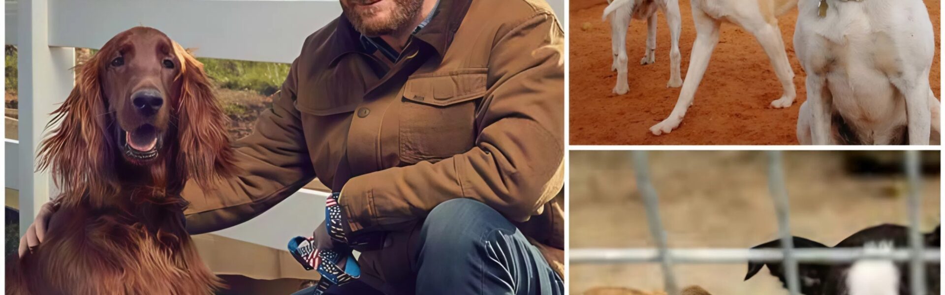 Dale Earnhardt Jr. Races Toward His Greatest Victory: $5 Million Sanctuary for Stray Dogs Opens in North Carolina