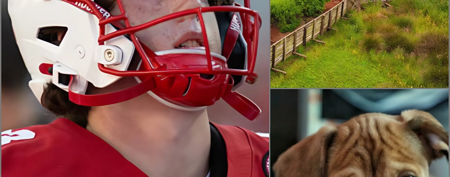 Nebraska’s Archie Wilson stunned the community by turning part of his success into a 120-acre sanctuary for abandoned dogs❤️ — a refuge where wagging tails replace loneliness and children learn the meaning of empathy. Fans are calling it one of the most heartfelt gestures in college football, while others wonder why a rising star would devote so much. What no one can deny is how this choice has already begun to change lives — and how its true impact is only just unfolding...
