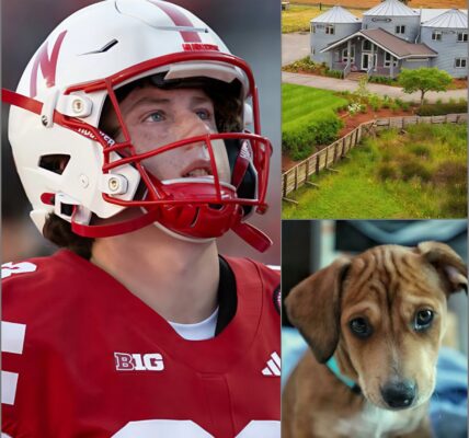 Nebraska’s Archie Wilson stunned the community by turning part of his success into a 120-acre sanctuary for abandoned dogs❤️ — a refuge where wagging tails replace loneliness and children learn the meaning of empathy. Fans are calling it one of the most heartfelt gestures in college football, while others wonder why a rising star would devote so much. What no one can deny is how this choice has already begun to change lives — and how its true impact is only just unfolding...