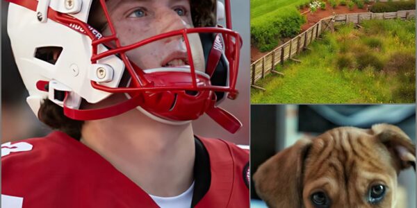 Nebraska’s Archie Wilson stunned the community by turning part of his success into a 120-acre sanctuary for abandoned dogs❤️ — a refuge where wagging tails replace loneliness and children learn the meaning of empathy. Fans are calling it one of the most heartfelt gestures in college football, while others wonder why a rising star would devote so much. What no one can deny is how this choice has already begun to change lives — and how its true impact is only just unfolding...