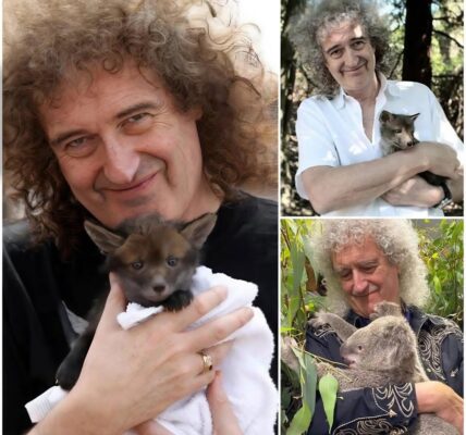 Brian May Swaps Guitar for Garden Gloves—Inside the Rock Legend’s Secret Life as a Wildlife Guardian