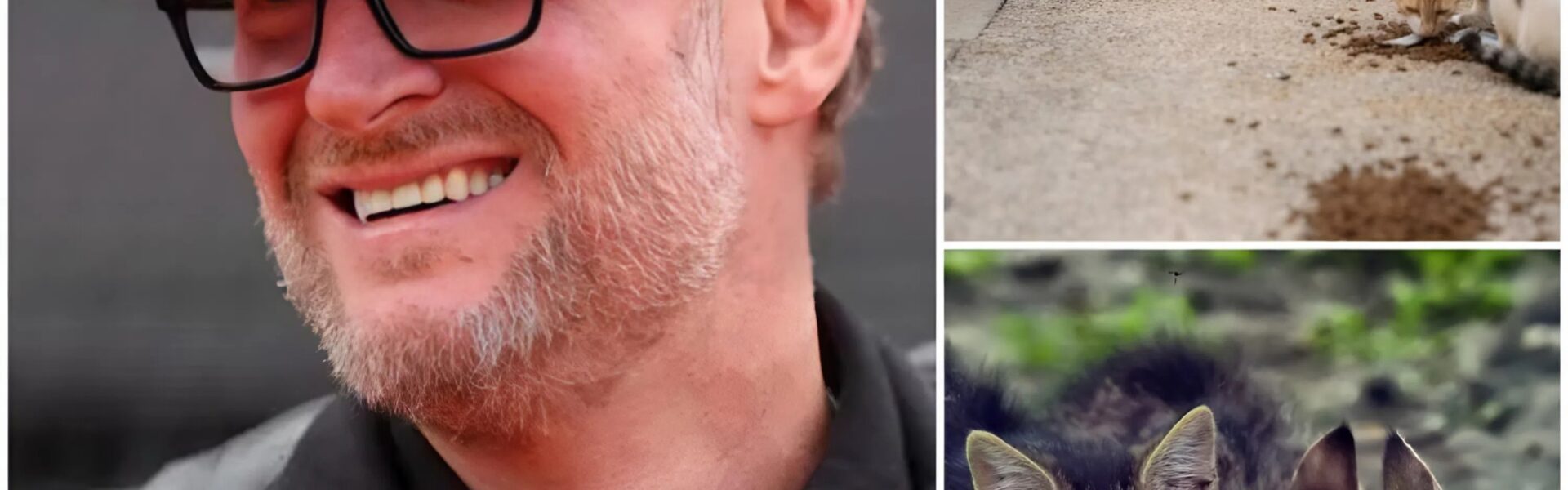 Dale Earnhardt Jr. Shifts Gears from Racing to Rescuing: NASCAR Legend Builds $5 Million Haven for Abandoned Animals