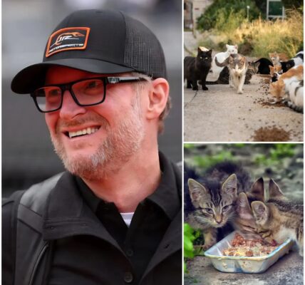 Dale Earnhardt Jr. Shifts Gears from Racing to Rescuing: NASCAR Legend Builds $5 Million Haven for Abandoned Animals