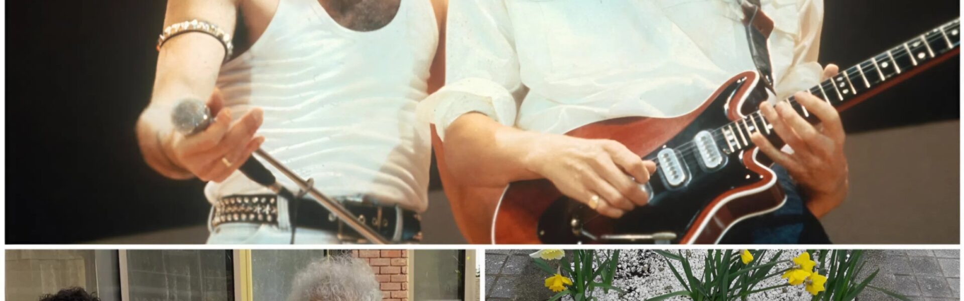 Where Legends Bloom: Freddie Mercury’s Memory Comes Alive in Feltham