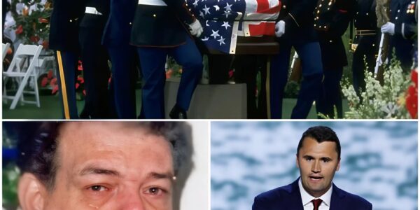 The Cry That Stilled the Sky: A Father’s Final Plea for His Son