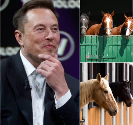 Elon Musk’s “Freedom Ranch”: A Billionaire’s Most Human Mission Yet - News