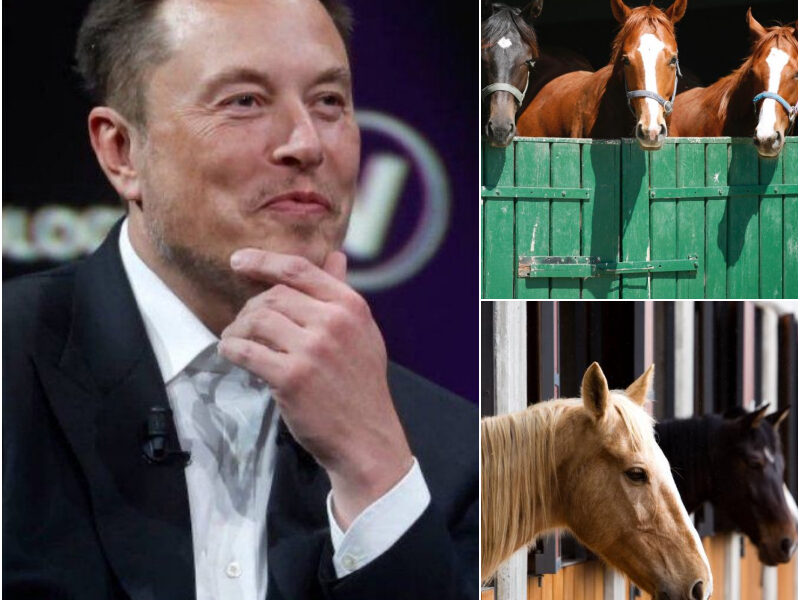 Elon Musk’s “Freedom Ranch”: A Billionaire’s Most Human Mission Yet - News