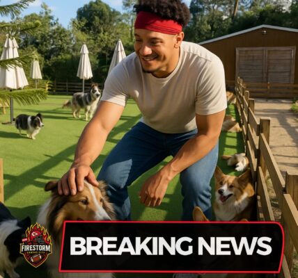 Patrick Mahomes’ Quiet Play: How the NFL Superstar Saved 39 Dogs and a Shelter on the Brink
