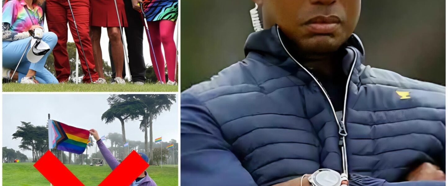 Tiger Woods fired an intern working at Payne's Valley Golf Course for flying an LGBT pride flag on the golf course. Tiger Woods said it was a "political symbol" and inappropriate in an office or workplace environment. This decision caused a lot of controversy about the limits between personal freedom and organizational regulations, but the golf legend responded and left the world silent...