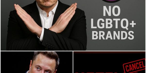 Elon Musk cancels Netflix subscription over pro-trans show creator insulting Charlie