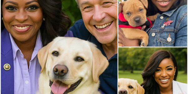 BREAKING NEWS: Jasmine Crockett sets the internet ablaze, announcing a £10 million investment to create a dream sanctuary for stray dogs and cats—promising to rescue thousands of abandoned animals and give them the love, care, and forever homes they’ve always deserved!