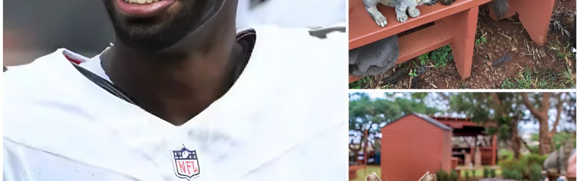 Shedeur Sanders Switches Fields from Football to Compassion: Browns Quarterback Pledges $5 Million to Build Sanctuary for Abandoned Animals