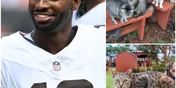 Shedeur Sanders Switches Fields from Football to Compassion: Browns Quarterback Pledges $5 Million to Build Sanctuary for Abandoned Animals