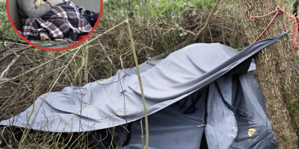 De politie ontdekte het lichaam van een dakloze man na nachtelijke hondengehuil en meldingen van bergwandelaars — maar weinigen weten dat hij zijn meest kostbare geschenk aan zijn beste vriend naliet. Lees het artikel om te weten wat het was…