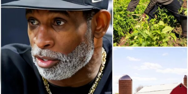 Deion Sanders Turns Down $1 Million Deal to Stand With Colorado’s Farmers