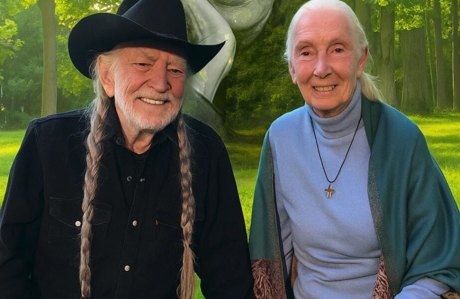 WHEN THE FOREST STARTED TO SING BACK 🌿🎶