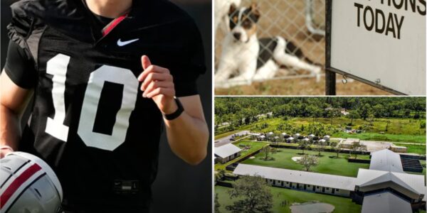 Breaking News: julian sayin leaves internet stunned after revealing his $4 million mission to save abandoned dogs